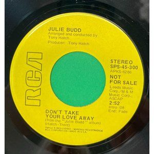 Julie Budd Don't Take Your Love Away 45 Pop Promo RCA 45-300